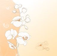 Orchid flower card