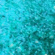 Amazing template design on blue glittering EPS 8 N14
