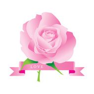Rose Vector N7