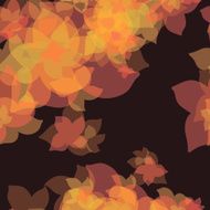 Romantic Flower Background N9