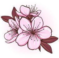 cherry blossom N23