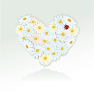 Heart is made of white daisies Valentines day card