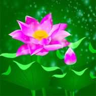 flower lotus N3