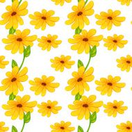 yellow flowers N18
