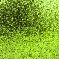 Amazing template design on green glittering EPS 8 N4