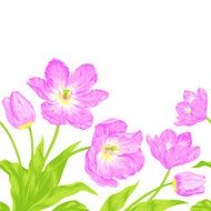 Tulips bouquet seamless border composition