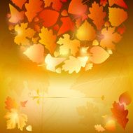 Abstract background with autumn leaves N2