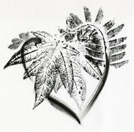 Black Heart N5