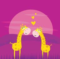 Two yellow african giraffes in love