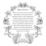 Template with place for text pattern wreath of medicinal herbs N2