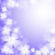 Beautiful blue flower background