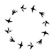 Black and white flying swallows circle frame