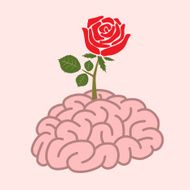 Brain and rose