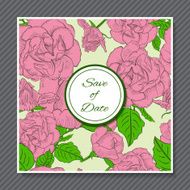 Retro design cards on roses background