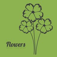 Flowers design N264