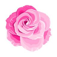 Red rose N22