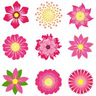 colorful spring flowers collection vector illustration N5