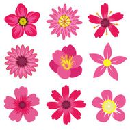 colorful spring flowers collection vector illustration N6