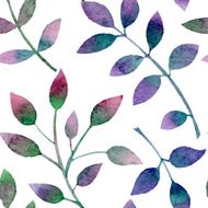 Leaves N66