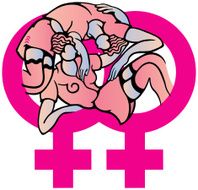 Women (vector)