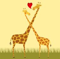 Giraffe love