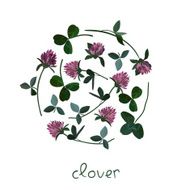 vector floral card N14