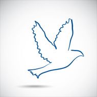 Dove on the gray background