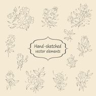 Hand sketched vintage floral elements N4