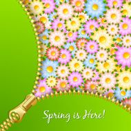 Spring zipper with flowers N2