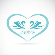 Vector image of two swans in a heart shape
