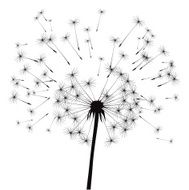 Black vector dandelion N4