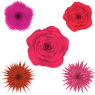 Set of beautiful colorful flowers floral collection vector set 2