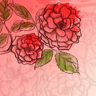 Sketch rose branch N3
