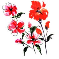 red summer flowers