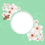 vector greeting card with cherry flowers N2