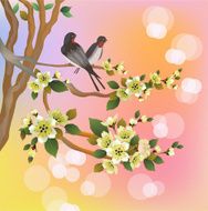 sakura spring postcard N6