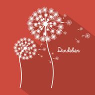 Flowers design N268