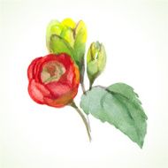 watercolor flower N20