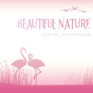 Background with Pink Flamingos