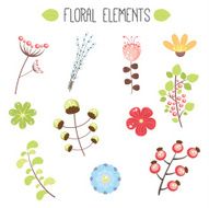 Floral elements N27