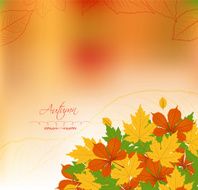 Autumn Leaves Background N17