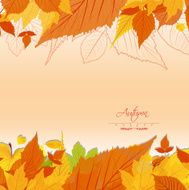 Autumn Leaves Background N18