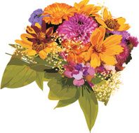 Flowers N311