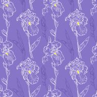 Seamless pattern contours irises N2