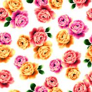 repetition of the rose N77