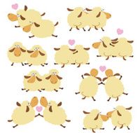 pretty sheep N5