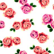 repetition of the rose N79