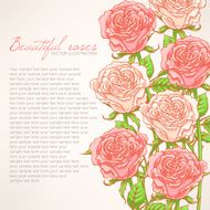 card with pink roses N2