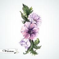Watercolor anemones vector
