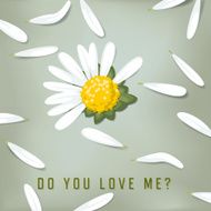 Daisy do you love me? (Loves me loves me not)